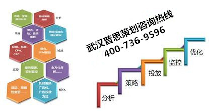 專業項目可行性研究與商業計劃書代寫服務解析